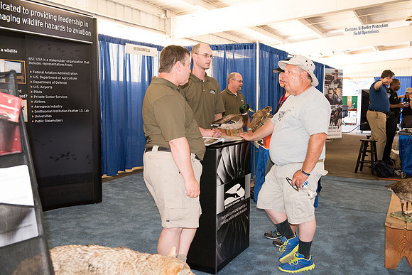 02 AirVenture 2016 Bird Strike 024 _ME47118